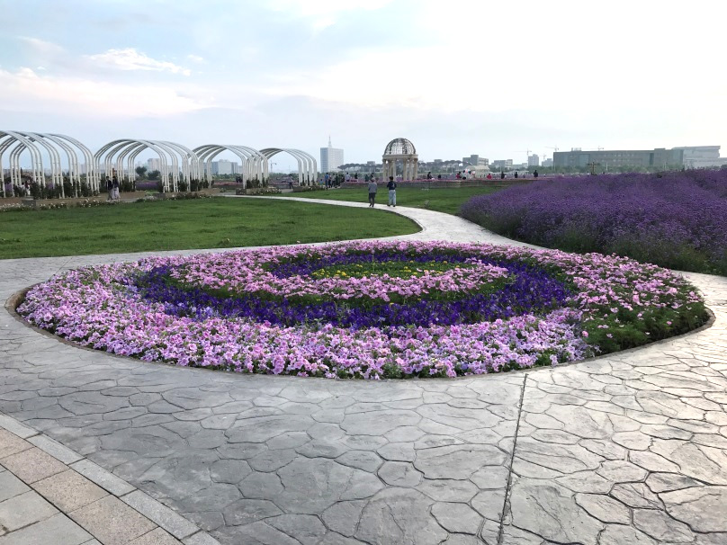 金川区紫金花卉示范种植基地